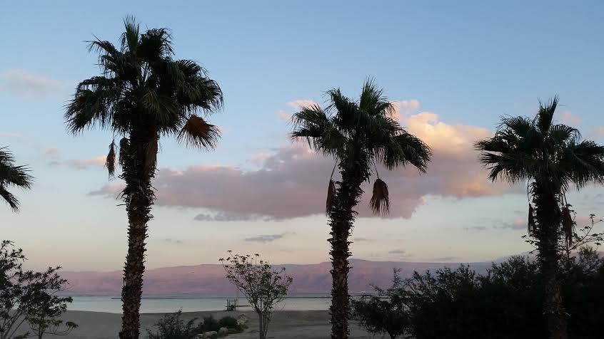 Hotel Rose Dead Sea Neve Zohar Habitación foto