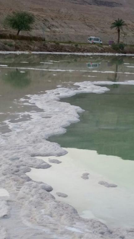 Hotel Rose Dead Sea Neve Zohar Exterior foto